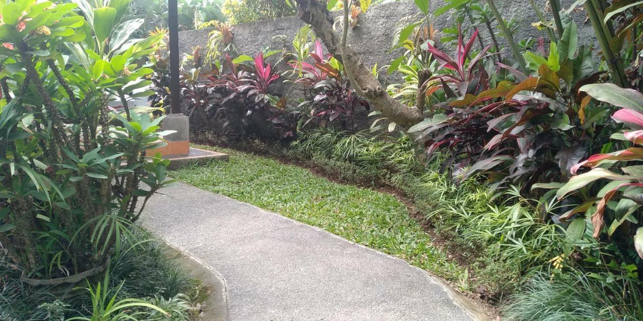 Villa Dedik House Ubud Esterno foto